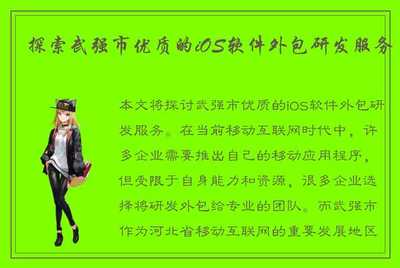 探索武強市優(yōu)質(zhì)的iOS軟件外包研發(fā)服務(wù)